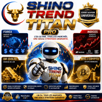 Shino Trend Titan Pro Conservative Strategy Tester result, 12.13% simulated ROI