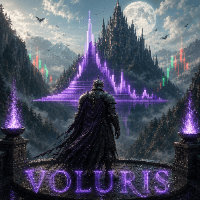 Voluris Volume profile engine Conservative Strategy Tester result, 12.42% simulated ROI