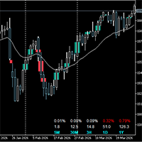 Price Action Auxiliary Indicator Kit 404 Conservative Strategy Tester result, 12.56% simulated ROI