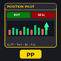 PositionPilot Conservative Strategy Tester result, 12.67% simulated ROI