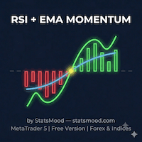 Rsi e Ema Momentum Aggressive Strategy Tester result, -25.6% simulated ROI