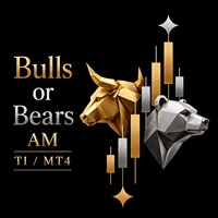 Bulls or Bears AM Conservative Strategy Tester result, 8.16% simulated ROI