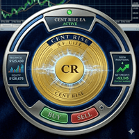 Cent Rise Aggressive Strategy Tester result, -25.51% simulated ROI