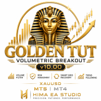 Golden Tut V Breakout Conservative Strategy Tester result, 12.81% simulated ROI