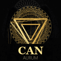 Aurum D1 Breakout Canyon Trader trading robot logo
