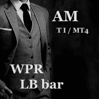 WPR LB bar AM Conservative Strategy Tester result, 20.31% simulated ROI
