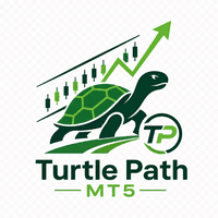 Turtle Path MT5 Aggressive Strategy Tester result, -24.52% simulated ROI