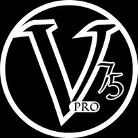 Volatility 75 Pro Auto Conservative Strategy Tester result, 13.25% simulated ROI