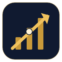 DynamicRider Conservative Strategy Tester result, 13.3% simulated ROI