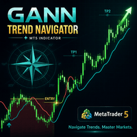 Gann Trend Navigator Aggressive Strategy Tester result, -24.41% simulated ROI