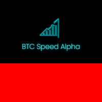 BTC Speed Alpha Conservative Strategy Tester result, 13.36% simulated ROI