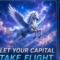 Lightning Pegasus Conservative Strategy Tester result, 13.37% simulated ROI