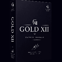 Gold XIII Aggressive Strategy Tester result, -24.19% simulated ROI