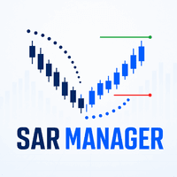 Sar Manager MT4 Conservative Strategy Tester result, 13.43% simulated ROI