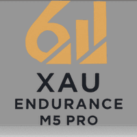 XAU Endurance Portfolio M5 Aggressive Strategy Tester result, -24.17% simulated ROI