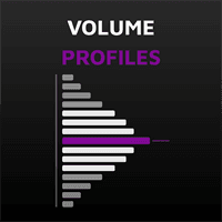 MT5 Volume Profiles Conservative Strategy Tester result, 13.52% simulated ROI