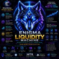 Enigma Liquidity Machine Conservative Strategy Tester result, 13.6% simulated ROI