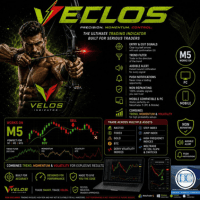 Velos trading indicator Conservative Strategy Tester result, 13.63% simulated ROI