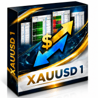 Meg 13 Aggressive Strategy Tester result, -23.81% simulated ROI