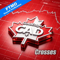 GoldEdge CAD Conservative Strategy Tester result, 13.75% simulated ROI