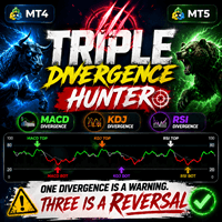 Triple Divergence Hunter MT4 Conservative Strategy Tester result, 13.81% simulated ROI