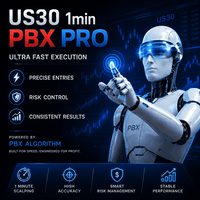 PBX Us30 M1 Scalper Pro Aggressive Strategy Tester result, -23.4% simulated ROI
