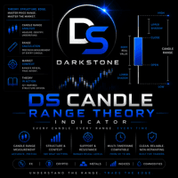 DS Candle Range Theory trading robot logo