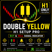 Double Yellow H1 Setup Pro MT4 trading robot logo