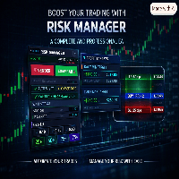 Professional Risk Manager Conservative Strategy Tester result, 14.01% simulated ROI