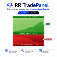 RR TradePanel MT4 Conservative Strategy Tester result, 14.16% simulated ROI