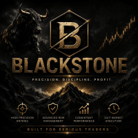 Blackstone EA Conservative Strategy Tester result, 14.27% simulated ROI