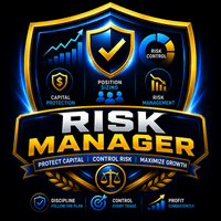 MP Risk Manager Aggressive Strategy Tester result, -22.11% simulated ROI