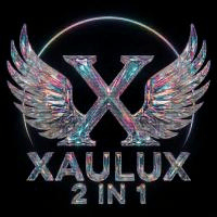 Xaulux Duo Conservative Strategy Tester result, 14.6% simulated ROI