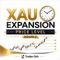 Xau Expansion Price Level Hourly Conservative Strategy Tester result, 14.75% simulated ROI