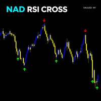 NAD Relative Strength Index Cross Signal Conservative Strategy Tester result, 15.48% simulated ROI