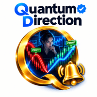 Quantum Direction MT5 Conservative Strategy Tester result, 13.42% simulated ROI