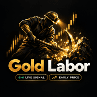Gold Labor Conservative Strategy Tester result, 15.56% simulated ROI
