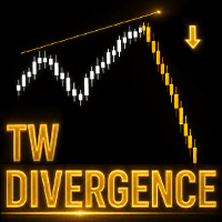 TW Multi Divergence MT4 Conservative Strategy Tester result, 15.84% simulated ROI