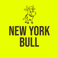 New York Bull Conservative Strategy Tester result, 15.76% simulated ROI
