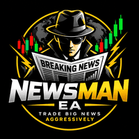 Newsman EA Conservative Strategy Tester result, 16.12% simulated ROI