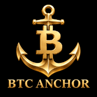 BTC Anchor Conservative Strategy Tester result, 16.31% simulated ROI