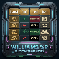 Williams Monitor Conservative Strategy Tester result, 16.33% simulated ROI