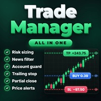 All In One Trade Manager MT4 Conservative Strategy Tester result, 16.34% simulated ROI