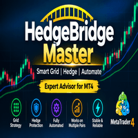HedgeBridgeMaster4 Conservative Strategy Tester result, 16.4% simulated ROI