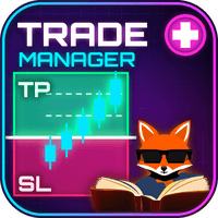 Forex Trade Manager Plus MT4 Conservative Strategy Tester result, 16.52% simulated ROI
