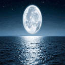 Moonlight pro trading robot logo