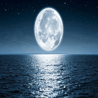 Moonlight pro Conservative Strategy Tester result, 17.57% simulated ROI