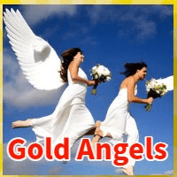 Gold Angels trading robot logo