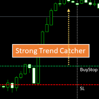 Strong Trend Catcher Conservative Strategy Tester result, 20.62% simulated ROI